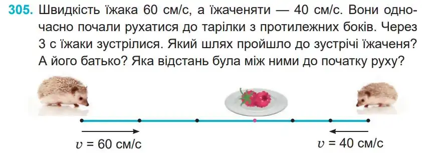 Зображення умови задачі номер 305 з підручника Математика 4 клас Заїка