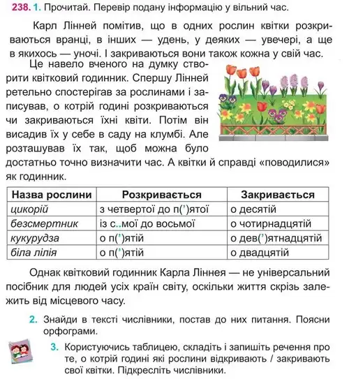 Зображення умови вправи номер 238 з підручника Українська Мова 4 клас Кравцова