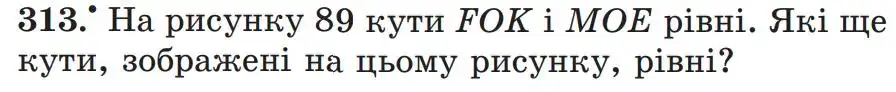 умова задачі № 313