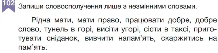 Зображення умови вправи номер 102 з підручника Українська Мова 5 клас Гапон