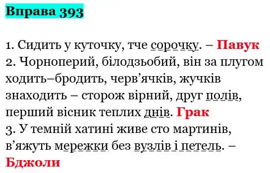 Зображення розв'язку вправи номер 393 з ГДЗ Українська Мова 5 клас Гапон