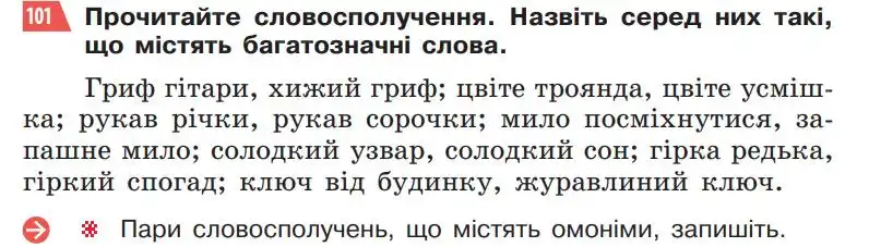 Зображення умови вправи номер 101 з підручника Українська Мова 5 клас Глазова