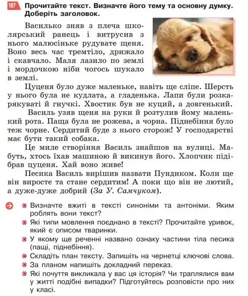 Зображення умови вправи номер 107 з підручника Українська Мова 5 клас Глазова
