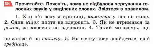 Зображення умови вправи номер 284 з підручника Українська Мова 5 клас Глазова