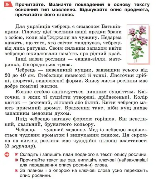 Зображення умови вправи номер 36 з підручника Українська Мова 5 клас Глазова