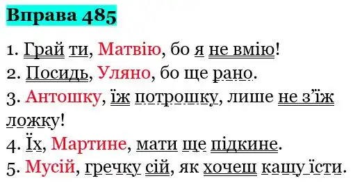 Зображення розв'язку вправи номер 485 з ГДЗ Українська Мова 5 клас Глазова