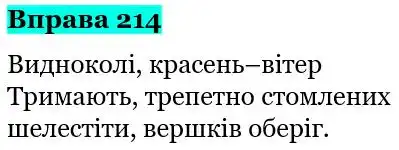 Зображення розв'язку вправи номер 214 з ГДЗ Українська Мова 5 клас Голуб