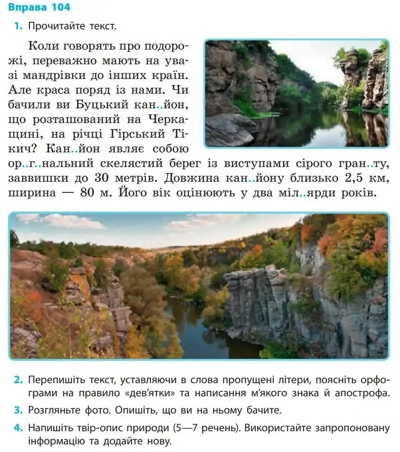 Зображення умови вправи номер 104 з підручника Українська Мова 5 клас Літвінова