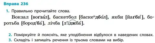 Зображення умови вправи номер 236 з підручника Українська Мова 5 клас Літвінова