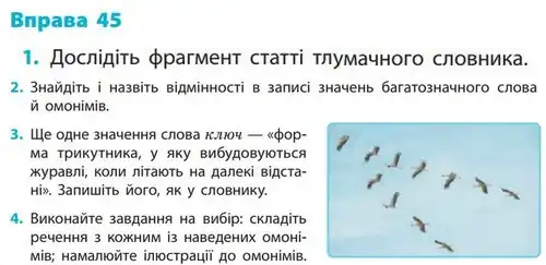 Зображення умови вправи номер 45 з підручника Українська Мова 5 клас Літвінова
