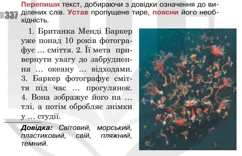 Зображення умови вправи номер 337 з підручника Українська Мова 5 клас Онатій