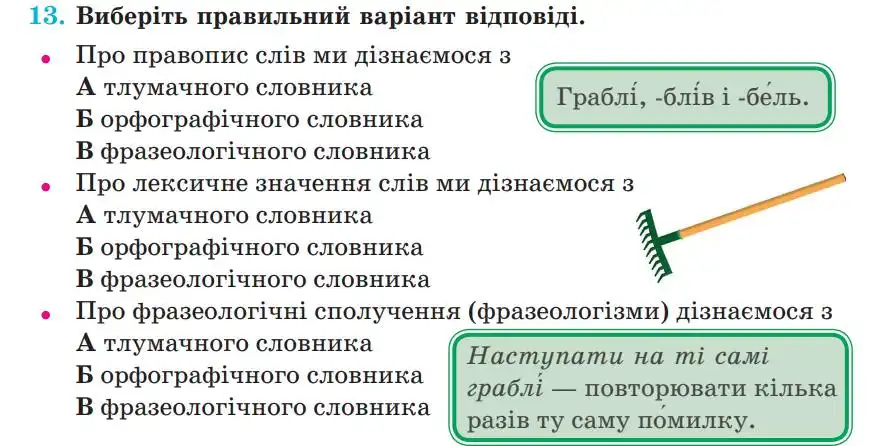 Зображення умови вправи номер 13 з підручника Українська Мова 5 клас Панчук