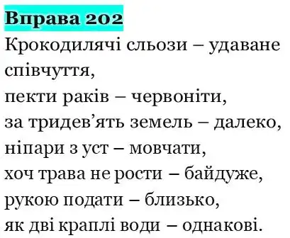 Зображення розв'язку вправи номер 202 з ГДЗ Українська Мова 5 клас Панчук