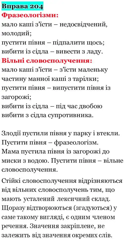 Зображення розв'язку вправи номер 204 з ГДЗ Українська Мова 5 клас Панчук