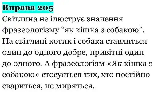 Зображення розв'язку вправи номер 205 з ГДЗ Українська Мова 5 клас Панчук