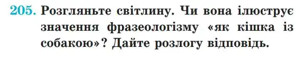 Зображення умови вправи номер 205 з підручника Українська Мова 5 клас Панчук