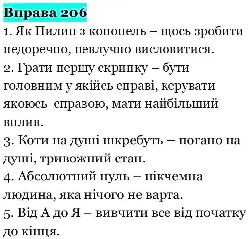 Зображення розв'язку вправи номер 206 з ГДЗ Українська Мова 5 клас Панчук