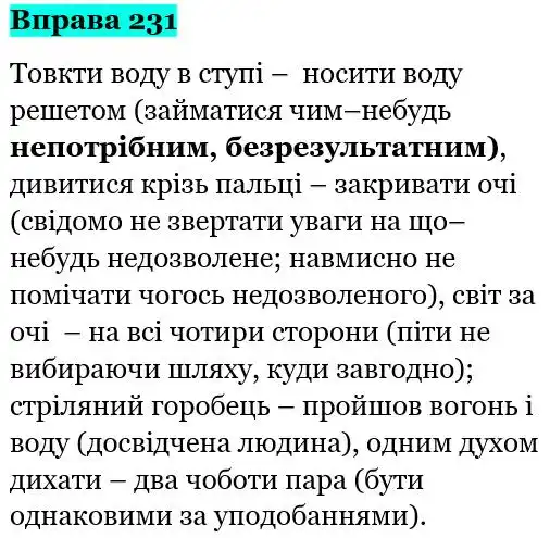 Зображення розв'язку вправи номер 231 з ГДЗ Українська Мова 5 клас Панчук