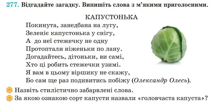 Зображення умови вправи номер 277 з підручника Українська Мова 5 клас Панчук
