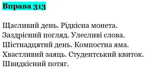 Зображення розв'язку вправи номер 313 з ГДЗ Українська Мова 5 клас Панчук
