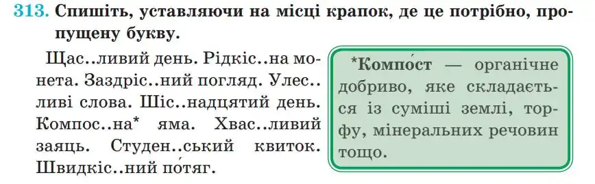 Зображення умови вправи номер 313 з підручника Українська Мова 5 клас Панчук