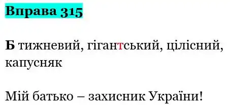 Зображення розв'язку вправи номер 315 з ГДЗ Українська Мова 5 клас Панчук