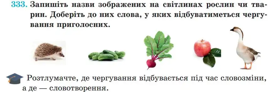 Зображення умови вправи номер 333 з підручника Українська Мова 5 клас Панчук