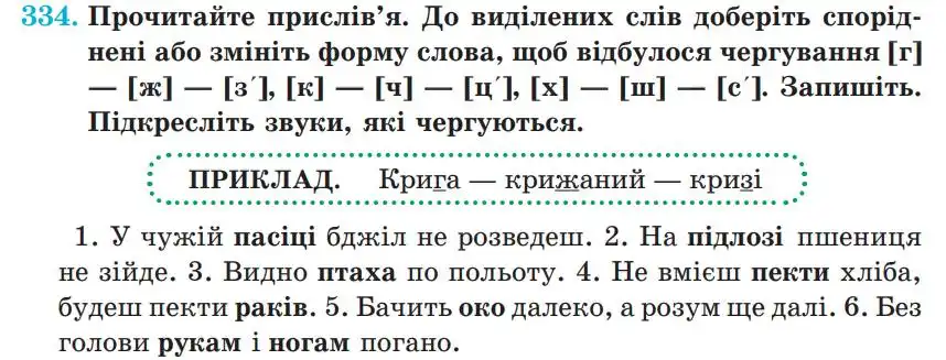 Зображення умови вправи номер 334 з підручника Українська Мова 5 клас Панчук