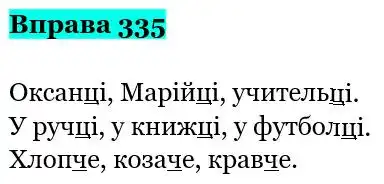Зображення розв'язку вправи номер 335 з ГДЗ Українська Мова 5 клас Панчук