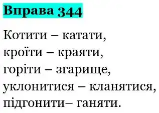 Зображення розв'язку вправи номер 344 з ГДЗ Українська Мова 5 клас Ворон
