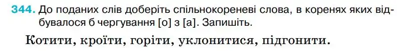 Зображення умови вправи номер 344 з підручника Українська Мова 5 клас Ворон