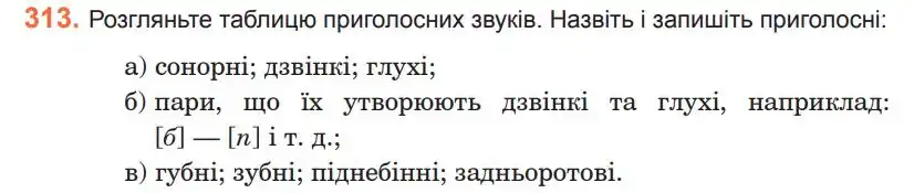 Зображення умови вправи номер 313 з підручника Українська Мова 5 клас Ющук