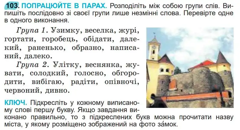 Зображення умови вправи номер 103 з підручника Українська Мова 5 клас Заболотний