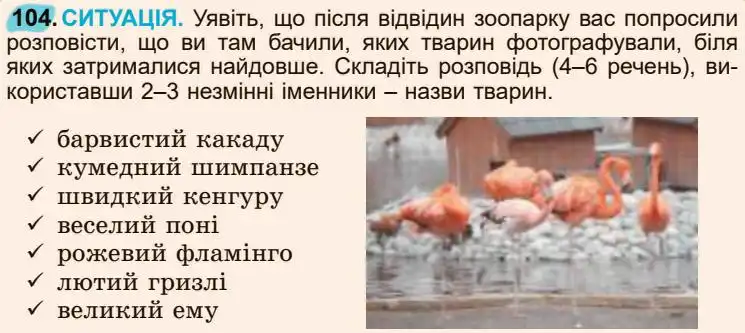 Зображення умови вправи номер 104 з підручника Українська Мова 5 клас Заболотний