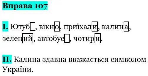 Зображення розв'язку вправи номер 107 з ГДЗ Українська Мова 5 клас Заболотний