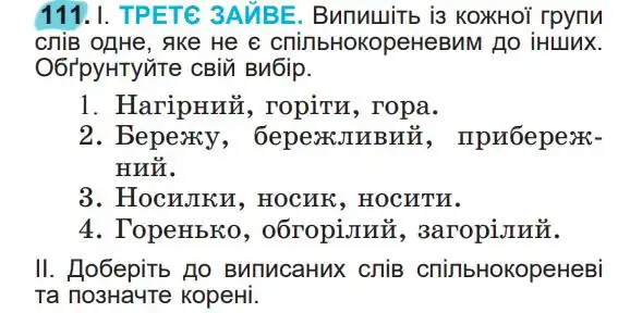 Зображення умови вправи номер 111 з підручника Українська Мова 5 клас Заболотний