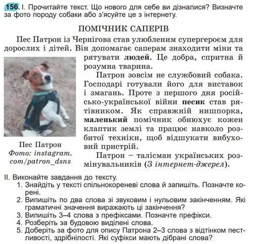Зображення умови вправи номер 156 з підручника Українська Мова 5 клас Заболотний