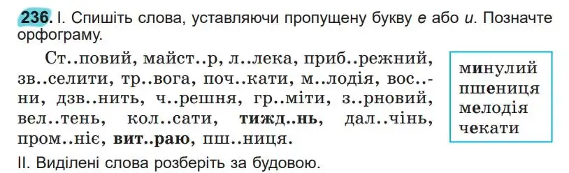 Зображення умови вправи номер 236 з підручника Українська Мова 5 клас Заболотний