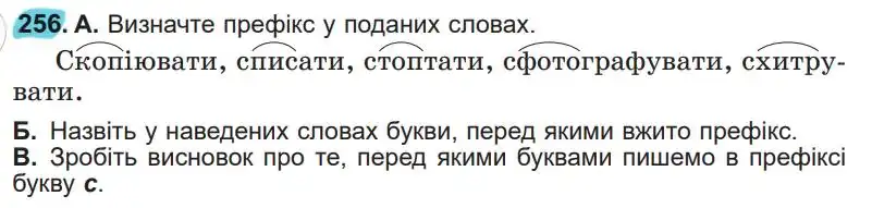 Зображення умови вправи номер 256 з підручника Українська Мова 5 клас Заболотний