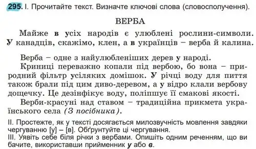 Зображення умови вправи номер 295 з підручника Українська Мова 5 клас Заболотний