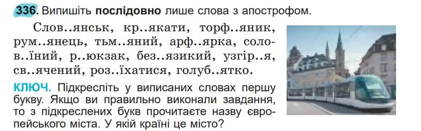 Зображення умови вправи номер 336 з підручника Українська Мова 5 клас Заболотний