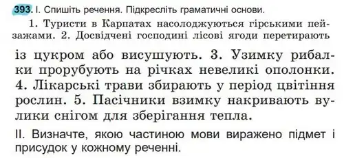 Зображення умови вправи номер 393 з підручника Українська Мова 5 клас Заболотний