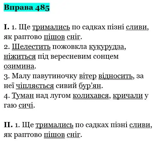 Зображення розв'язку вправи номер 485 з ГДЗ Українська Мова 5 клас Заболотний