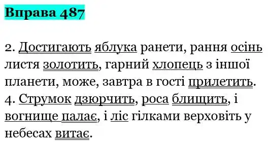 Зображення розв'язку вправи номер 487 з ГДЗ Українська Мова 5 клас Заболотний