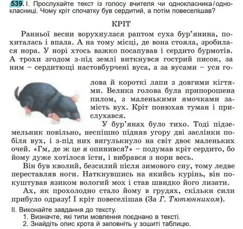 Зображення умови вправи номер 539 з підручника Українська Мова 5 клас Заболотний