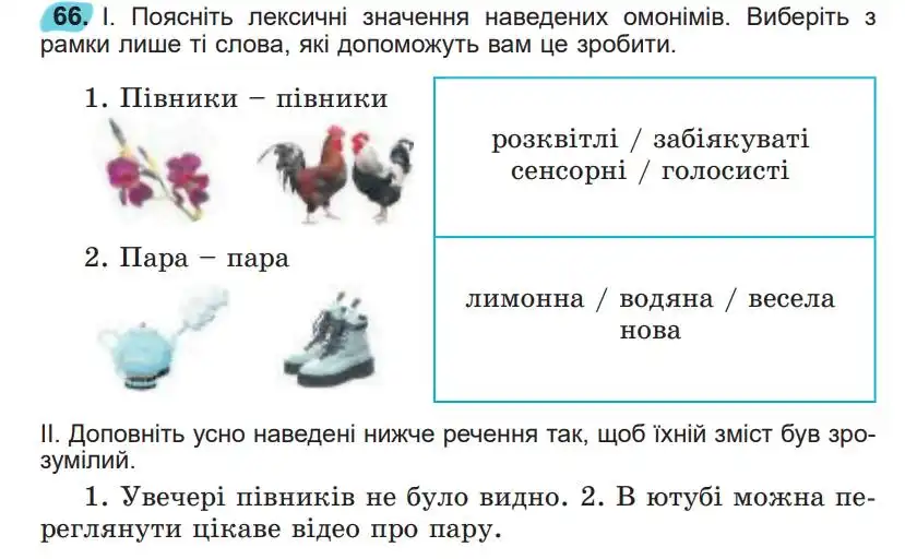 Зображення умови вправи номер 66 з підручника Українська Мова 5 клас Заболотний
