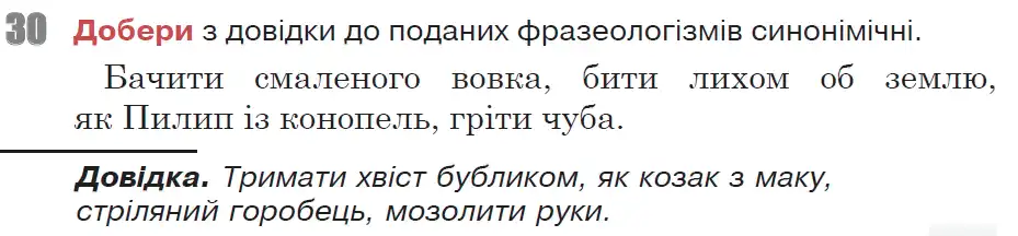 Зображення умови вправи номер 30 з підручника Українська Мова 6 клас Онатій