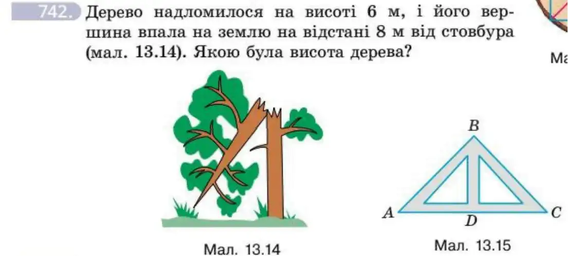 Зображення умови задачі номер 742 з підручника Геометрія 8 клас Бевз