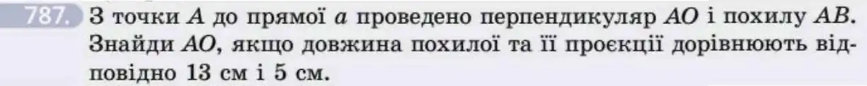 Зображення умови задачі номер 787 з підручника Геометрія 8 клас Бевз