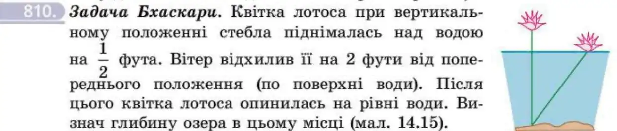 Зображення умови задачі номер 810 з підручника Геометрія 8 клас Бевз